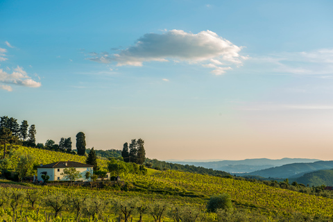 From Florence: Chianti Rufina Private Tour And Food Tasting