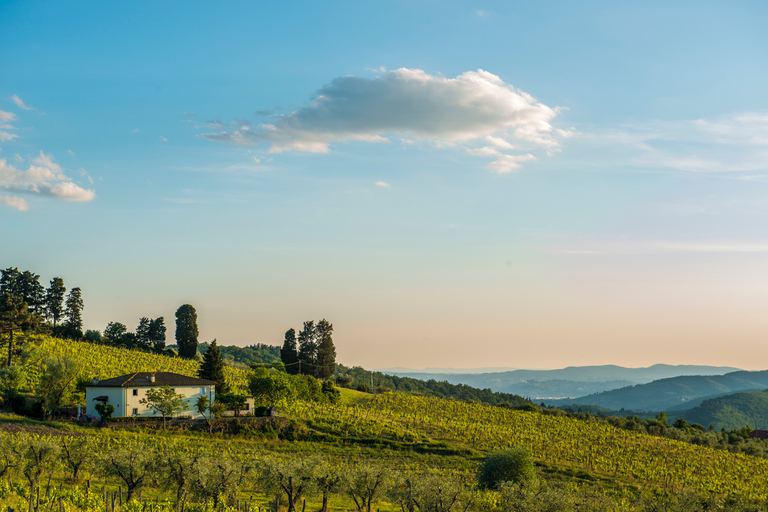 Desde Florencia: tour privado de Chianti Rufina y degustación de comidaChianti Rufina: tour privado y degustaciones de productos locales