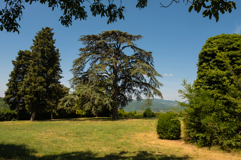 Desde Florencia: tour privado de Chianti Rufina y degustación de comidaChianti Rufina: tour privado y degustaciones de productos locales