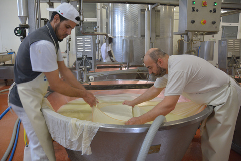 De Florence: visite de l'usine de parmesan et de vinaigre balsamique