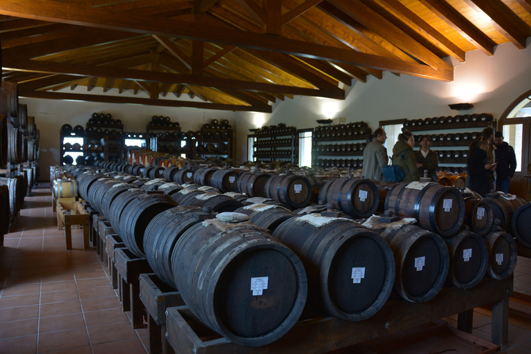 De Florence: visite de l'usine de parmesan et de vinaigre balsamique