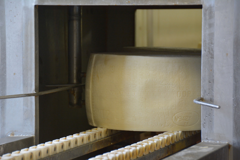 De Florence: visite de l'usine de parmesan et de vinaigre balsamique