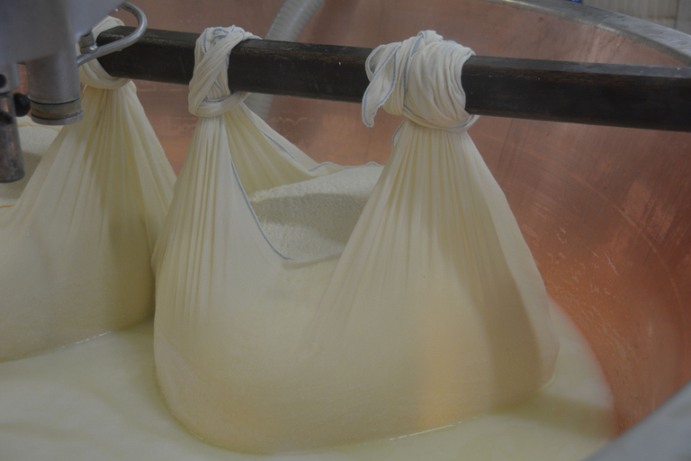 De Florence: visite de l'usine de parmesan et de vinaigre balsamique