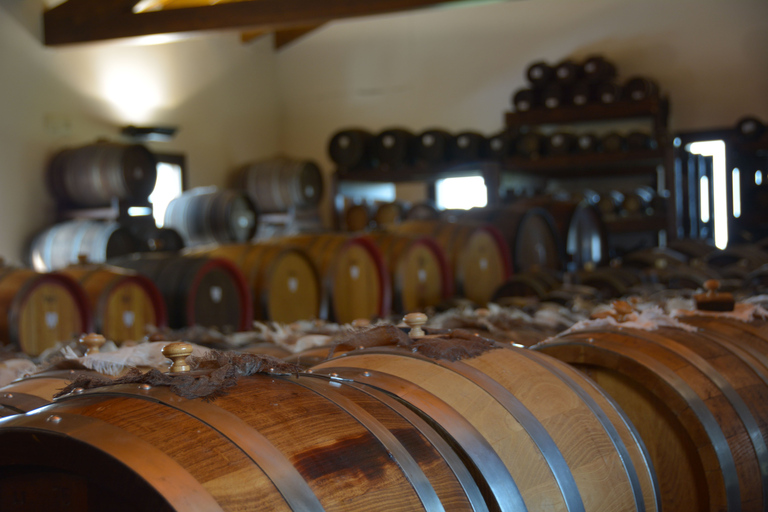 De Florence: visite de l'usine de parmesan et de vinaigre balsamique