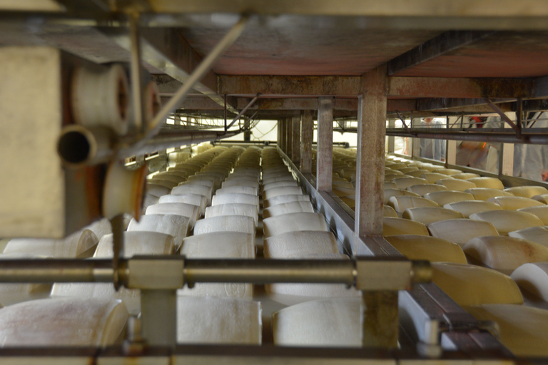 De Florence: visite de l'usine de parmesan et de vinaigre balsamique