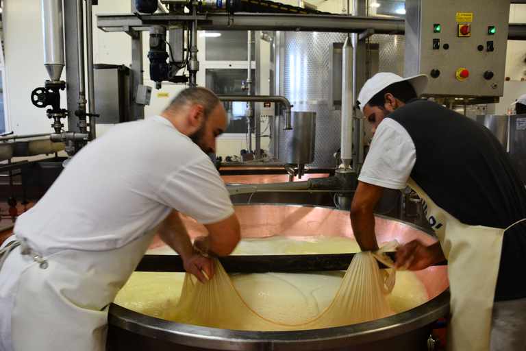 De Florence: visite de l'usine de parmesan et de vinaigre balsamique