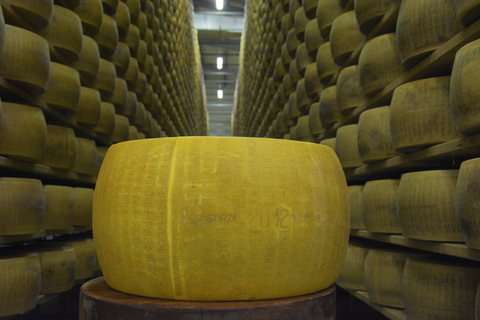 De Florence: visite de l'usine de parmesan et de vinaigre balsamique