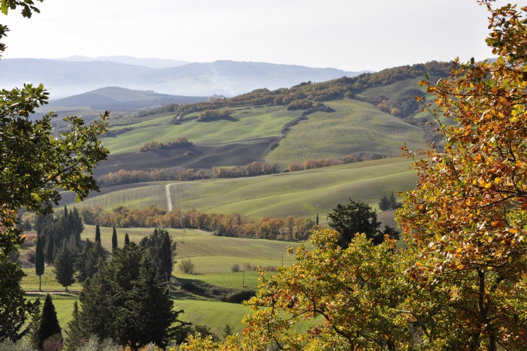 Vanuit Florence: Val D'Orcia-dagtour met wijnproeverij