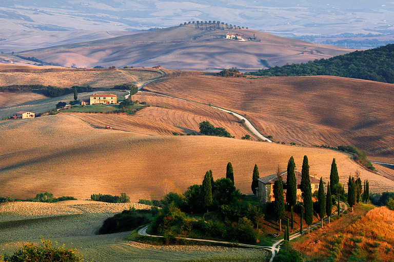 Vanuit Florence: Val D'Orcia-dagtour met wijnproeverij