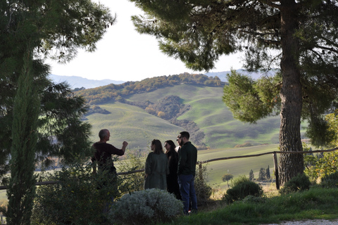 Vanuit Florence: Val D'Orcia-dagtour met wijnproeverij