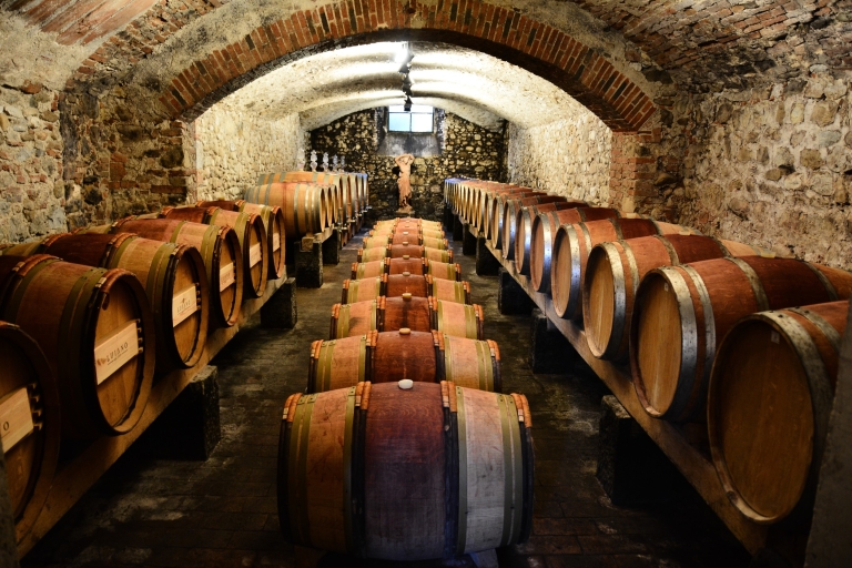 Florence: Exclusieve Chianti Classico-dagtripExclusieve Chianti Classico