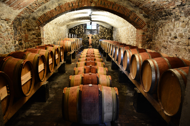 Florence: Exclusive Chianti Classico Day Trip