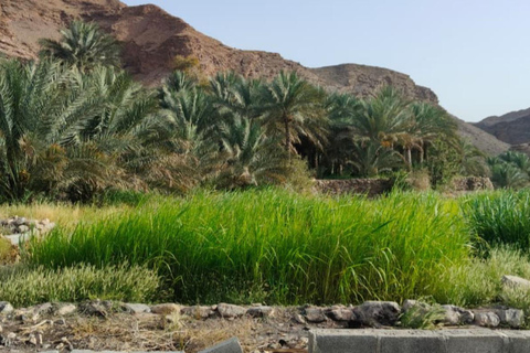 Muscat: Saal Walk Guided Hike with Sunset & City Views Tour