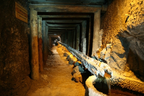 From Krakow: Wieliczka Salt Mine Tour With Private Car Private Car With Shared Guide