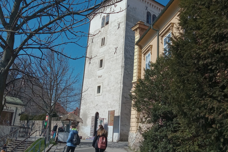 Zagabria: Tour storico privato guidato a piedi da una guida localeZagabria: tour storico privato a piedi con una guida locale