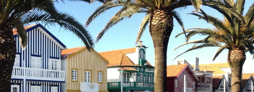 Depuis Aveiro : Phare de la plage de Barra et visite guidée de Costa Nova