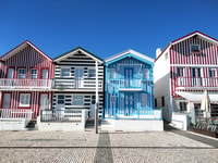 Desde Aveiro, Barra Beach Lighthouse y Costa Nova Guided Tour - Housity