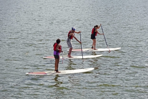 Miami: alquiler de kayak o paddleboard en Biscayne Bay
