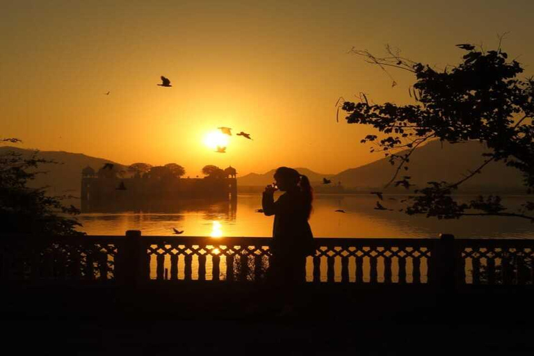 Jaipur: Świątynia Małp, Bursztynowy Fort, Jal Mahal itp. Wycieczka samochodem