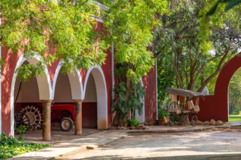 From Mérida Hacienda Sotuta de Peón, Henequen & Cenote Tour GetYourGuide