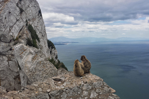 Gibraltar: Guidad tur med buss inklusive biljetter