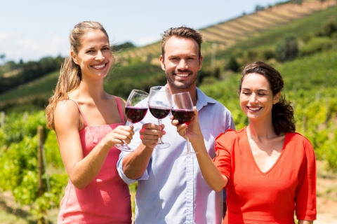 Cáceres: visita a bodega y cata de vinos con guía local