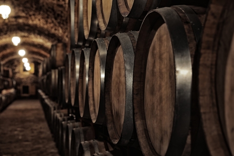 Cáceres: visite d'une cave et dégustation de vin avec un guide local