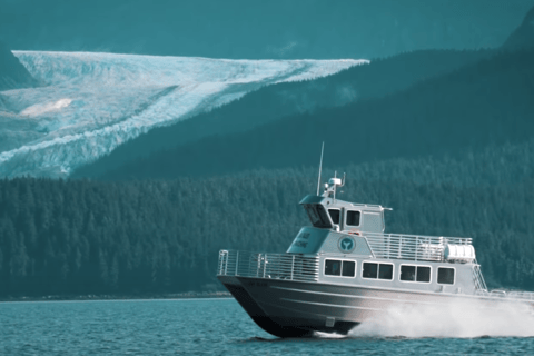 Juneau: Whale Watching and Wildlife Cruise with Local Guide