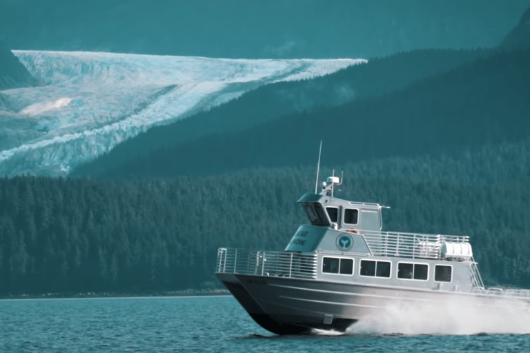 Juneau: Whale Watching and Wildlife Cruise with Local Guide