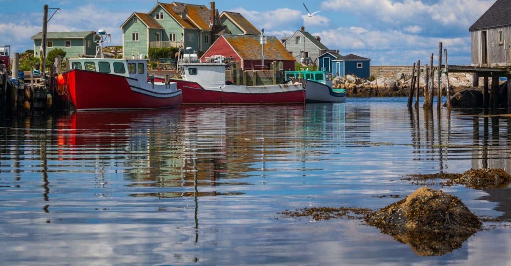 Von Halifax, Peggy's Cove Small-Group Tour mit Transfers - Hizvo