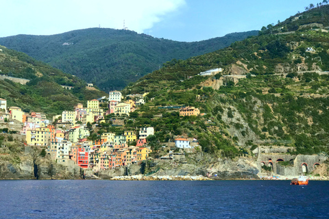 Cinque Terre: Prywatna wycieczka z Florencji z lunchem