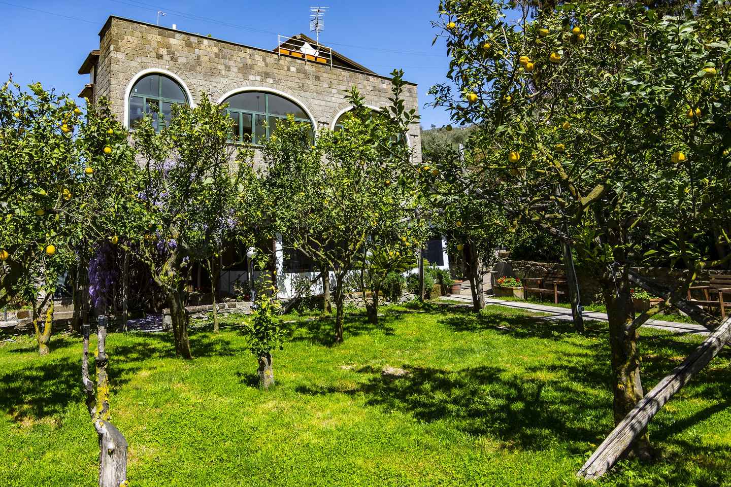 Sorrento: Recorrido en Bicicleta Eléctrica por la Costa con Degustación de Limoncello