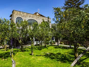 Sorrento: Coast E-Bike Tour with Limoncello Tasting