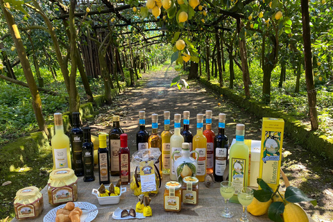 Sorrento: Passeio de E-Bike pelas estradas secundárias com degustação de LimoncelloSorrento: Backroads E-Bike Tour com degustação de Limoncello