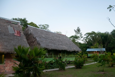 4-dniowa wycieczka all inclusive z przewodnikiem po dżungli z Iquitos