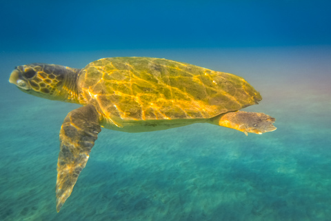 Zakynthos : Croisière guidée vers l&#039;île de la Tortue et les grottes de KeriZakynthos : Croisière guidée en bateau vers l&#039;île des tortues et les grottes de Keri