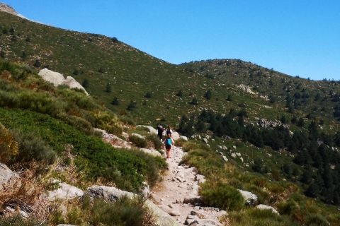 Von Madrid: Tagesausflug zum Guadarrama National Park