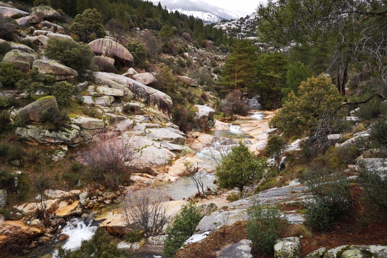 Desde Madrid: excursión de un día al Parque Nacional Guadarrama