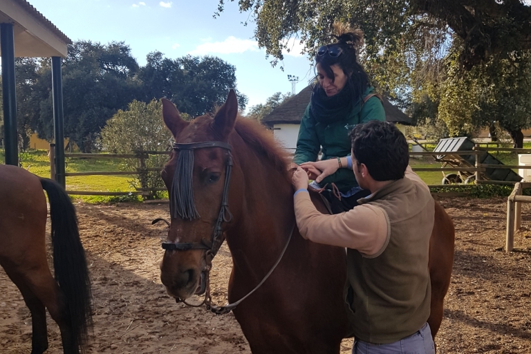 De Séville: expérience d'équitation de 2 heures à Aljarafe