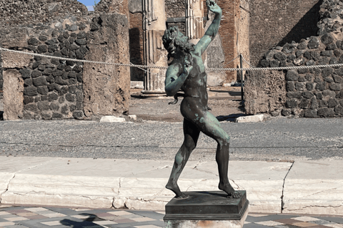 Vanuit Rome: Pompeii en Herculaneum Tour met hogesnelheidstrein