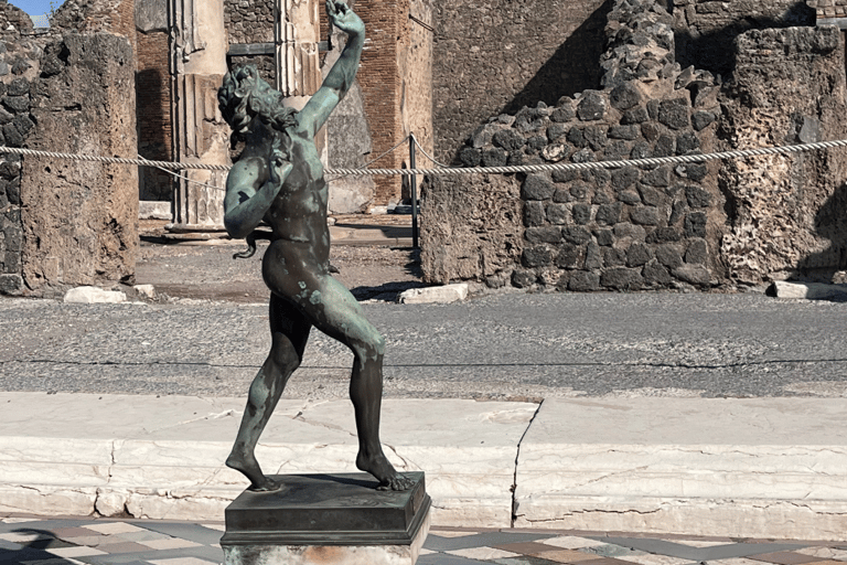 Vanuit Rome: Pompeii en Herculaneum Tour met hogesnelheidstrein