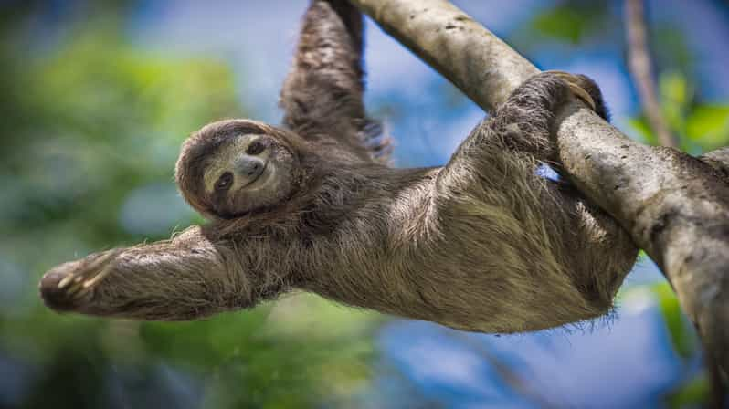 Manuel Antonio or Quepos: Manuel Antonio National Park Tour