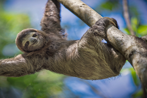 Manuel Antonio: Manuel Antonio National Park TourTour with Pickup from Manuel Antonio and Quepos