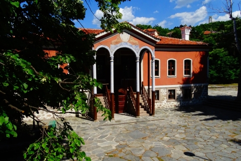 De Sofia: visite de Plovdiv et Perushtitsa avec dégustation de vin