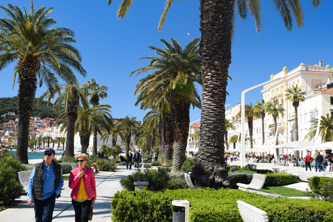 Split: Local History and Culture 90-Minute Walking Tour Split: Historic Guided Walking Tour & Views of Golden Gate