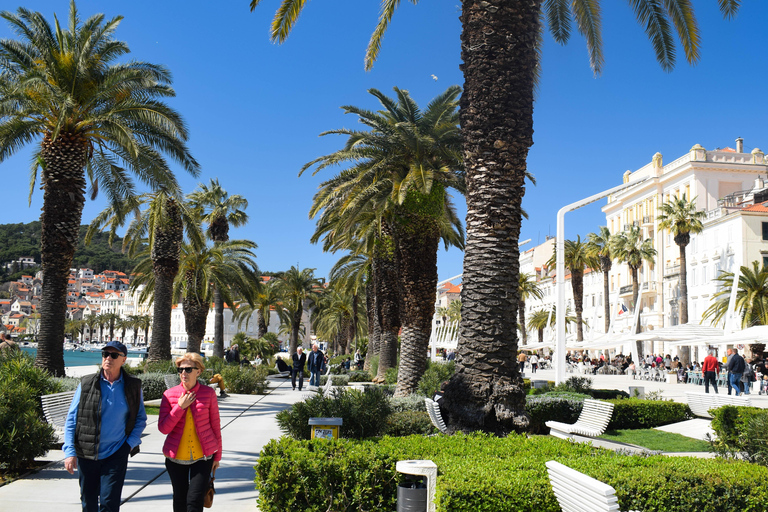Split: Local History and Culture 90-Minute Walking Tour Split: Historic Guided Walking Tour & Views of Golden Gate