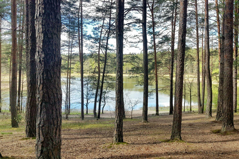 Vilnius: Verkiai Park & Green Lakes Self-guided Bike Tour