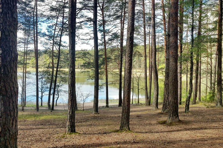 Vilnius: Verkiai Park & Green Lakes Self-guided Bike Tour