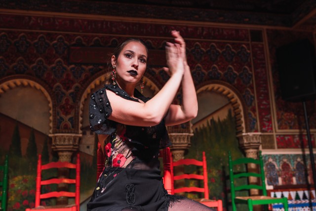 Visit Seville Traditional Flamenco Show in Seville