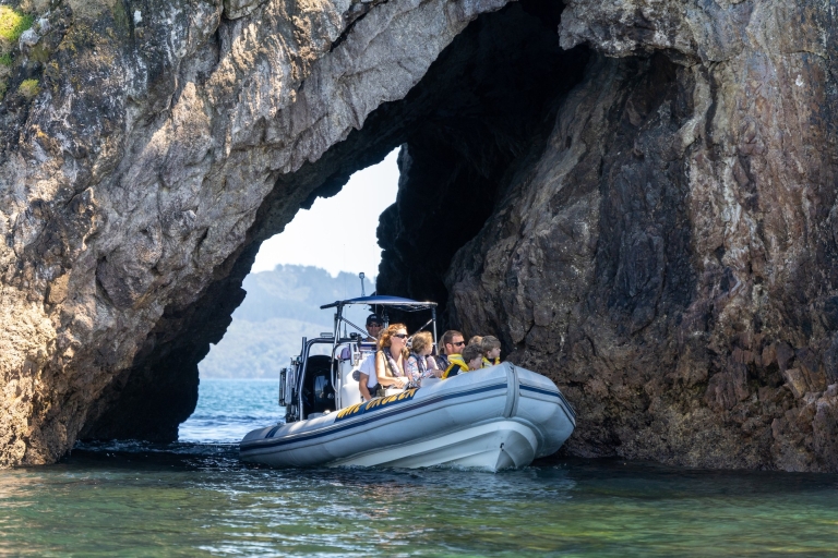 Whitianga: paseo en barco por Cathedral Cove, pequeñas cuevas y esnórquelWhitianga: Cala de la Catedral, pequeñas cuevas y excursión en barco para hacer snorkel